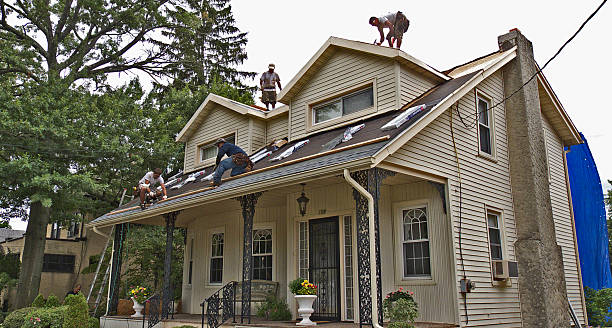 Professional Roofing Contractor in Tyhee, ID